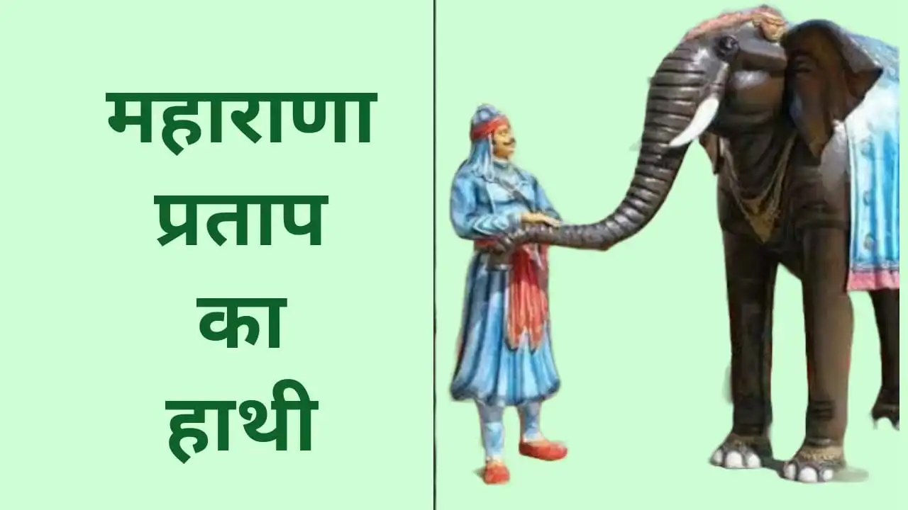 Name of Maharana Pratap's elephant