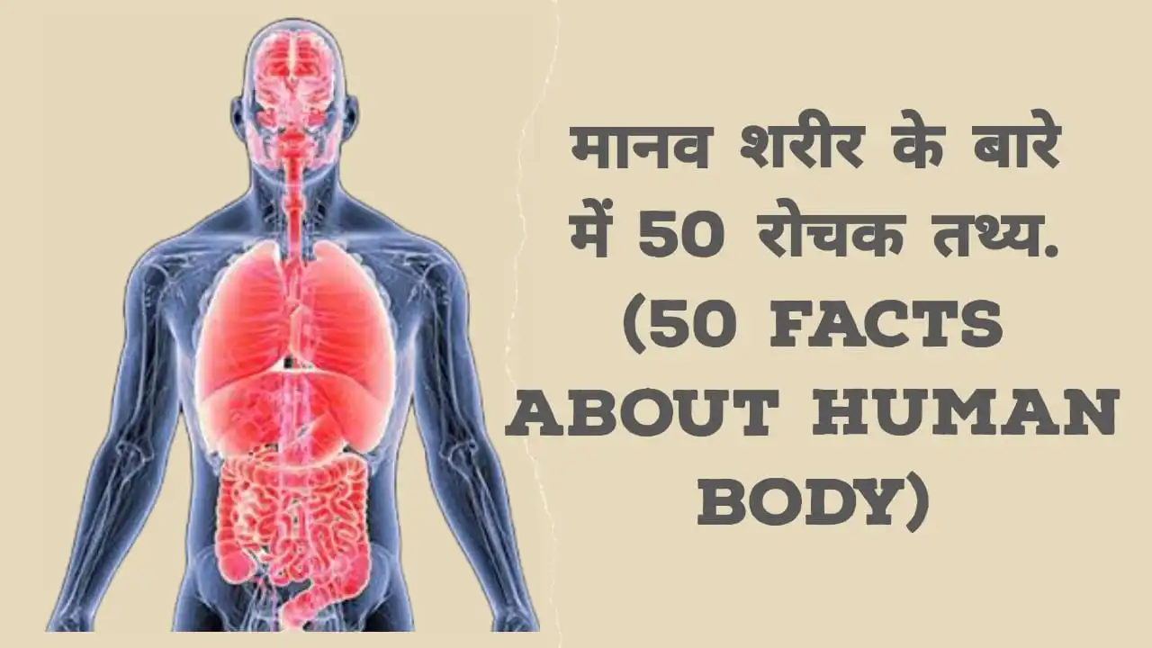 Facts About Human Body in Hindi