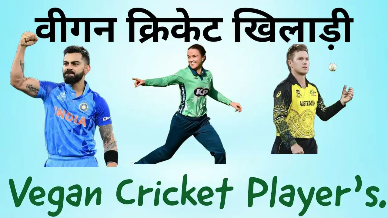 Vegan cricketers In Hindi